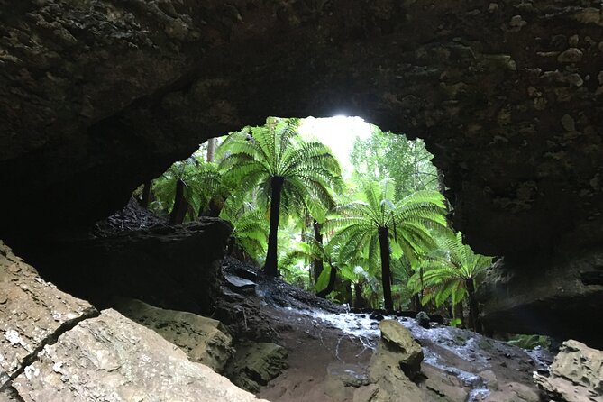 10 Days Ultimate Guided Tour of Tasmania - Comfort Tour - Gordon River cruise and Strahan gateway to the wilderness