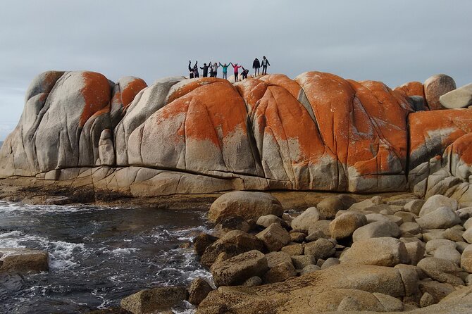 10 Days Ultimate Guided Tour of Tasmania - Comfort Tour - Cradle Mountain and Launceston: alpine walks plus mural towns
