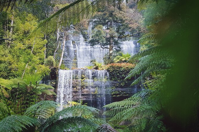 10 Days Ultimate Guided Tour of Tasmania - Comfort Tour - East Coast icons: Bay of Fires, Bicheno, and seaside pacing
