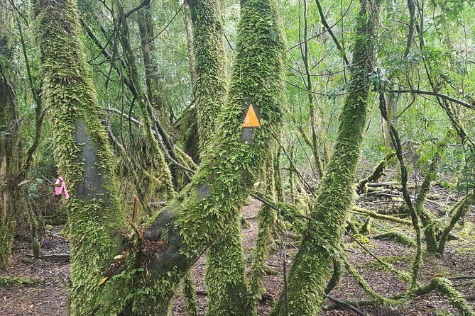 2 Day Cradle Mountain Tour / Hobart return / Inc. Accommodation - 7:00am starts, active days, and the gear you’ll actually want
