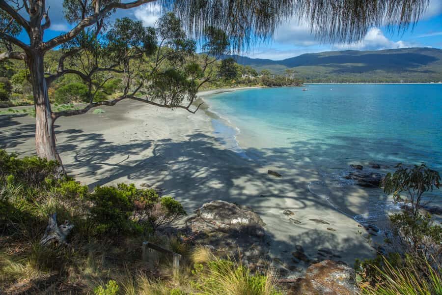 2 Day Tasmanian Highlights Tour - Bruny Island & Port Arthur - Price and value: is $219 fair for two days?