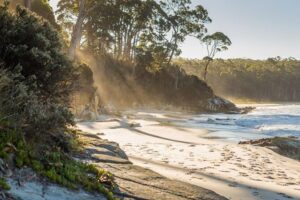 2 Day Tasmanian Highlights Tour - Bruny Island & Port Arthur - Bruny Island morning: beaches, lagoons, rainforest walks, and real wildlife time