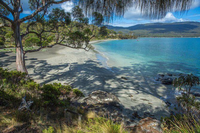 2 Day Tasmanian Highlights Tour - Bruny Island & Port Arthur - Day 2 on Bruny Island: the 360-degree view at The Neck