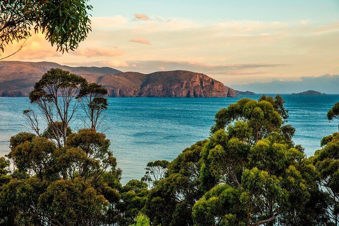 2 Day Tasmanian Highlights Tour - Bruny Island & Port Arthur - Adventure Bay and a 30-minute reset