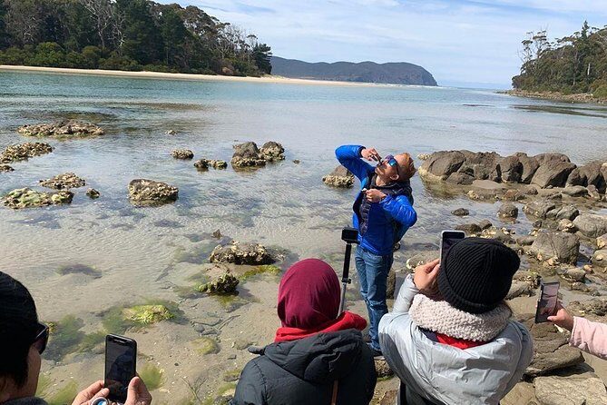 3 day Tasmanian highlights tour – Hobart, Port Arthur and Bruny Island - Comfort and pace: the bus factor on Tasmanian roads