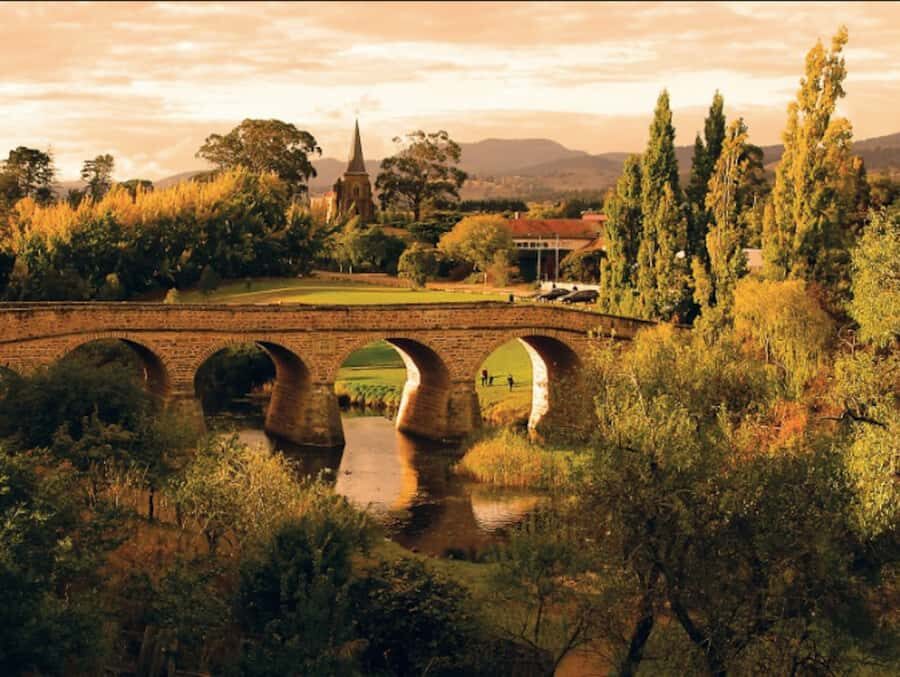 3D Tasmanian Highlights: Hobart, Port Arthur & Bruny Island - Wicked Cheese tastings: where the food fits into the scenery day