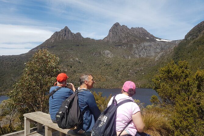 4 Day Wild Tasmania Tour / Wildlife, Nature, Hiking / Inc. Accom - Day 3: Bay of Fires Beaches, Orange Lichen Rocks, and the Tasmanian Devil Feeding Experience