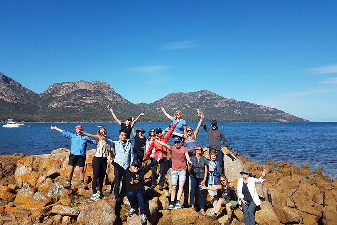 4 Day Wild Tasmania Tour / Wildlife, Nature, Hiking / Inc. Accom - Price and Value: Is $713.66 Worth It for This Route?