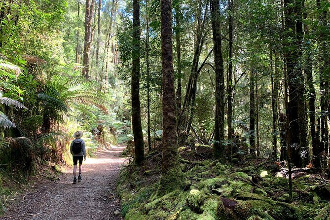 5-Day Best of Tasmania Tour from Hobart - Cradle Mountain without guessing: Day 3 hikes that match your legs