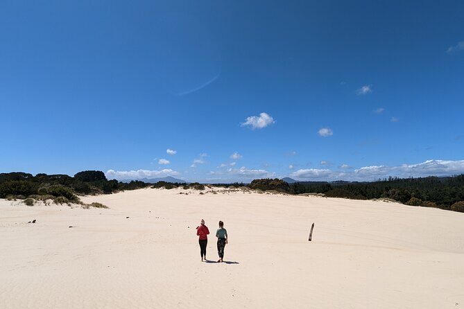 6-Day Tasmanian Explorer Adventure Tour from Hobart - Day 5: Freycinet National Park lookouts and a Hobart night with choices