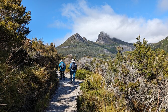 6-Days Discovery Tour of Tasmania - Comfort Style - Cataract Gorge to the Bay of Fires: wallabies, coastal calm, and orange boulders