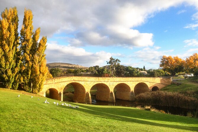 6-Days Discovery Tour of Tasmania - Comfort Style - Tasman Peninsula power: Port Arthur ruins plus Devil’s Kitchen and Remarkable Cave
