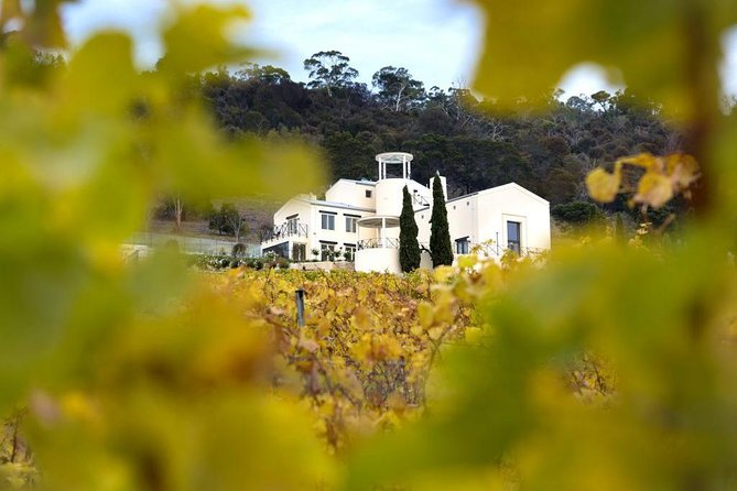7- 8 Hour StelaVino Guided Wine Tours From Hobart, Tasmania - Getting started in Hobart with a proper wine-day launch