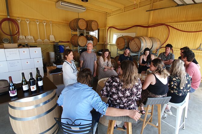 7- 8 Hour StelaVino Guided Wine Tours From Hobart, Tasmania - What you actually learn during tastings (and why it sticks)