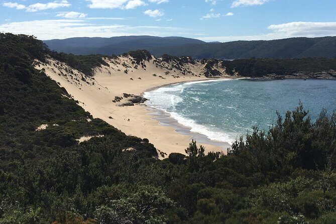 7-Day Super Value Tour of Tasmania: Explore Tasmania's West and East Coasts - Day 3: Cradle Mountain Walking Day—Dove Lake Circuit and Marion’s Lookout