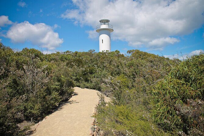 A Day At Wineglass Bay - Honeymoon Bay Swim Time: What to Expect and What to Bring
