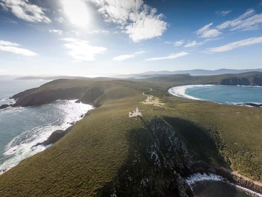 Bruny Island: Cape Bruny Lighthouse Tour - Wildlife spotting from the cliff edge