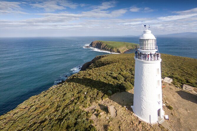 Bruny Island Food, Sightseeing, Guided Lighthouse Tour & Lunch - Key highlights that make this day work