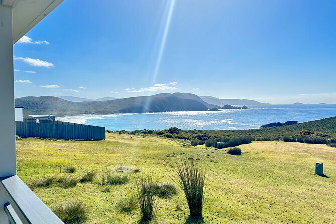 Bruny Island Food, Sightseeing, Guided Lighthouse Tour & Lunch - Cape Bruny Lighthouse: the guided climb and why whales matter