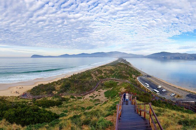 Bruny Island Food, Sightseeing, Guided Lighthouse Tour & Lunch - Practical tips to get the most out of a full day