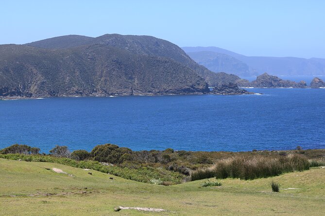 Bruny Island Small-Group Guided Tour From Hobart - Bruny Island Cheese Company: tastings, bread, and a picnic vibe