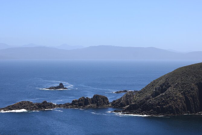 Bruny Island Small-Group Guided Tour From Hobart - South Bruny and Cloudy Bay: a nature walk with a short time window