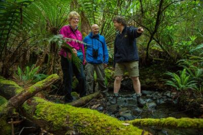 Bruny Island Traveller - Gourmet Tasting and Sightseeing Day Trip from Hobart - Adventure Bay lunch and Get Shucked oysters: where the day becomes a meal