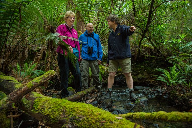 Bruny Island Traveller - Gourmet Tasting and Sightseeing Day Trip from Hobart - Adventure Bay lunch and Get Shucked oysters: where the day becomes a meal