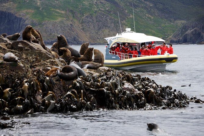Bruny Island Wilderness Cruise from Adventure Bay, Bruny Island - Key things to know before you go