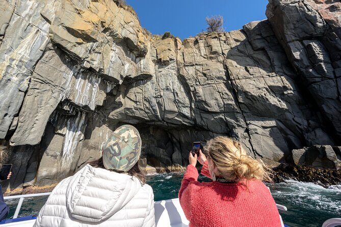 Cape Raoul Cruises Day Tour from Hobart - Price and value of a $172.14 per person day
