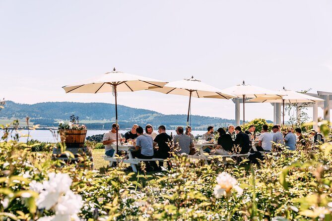 Coal River Wine Hopper - Who should book this, and who might skip it