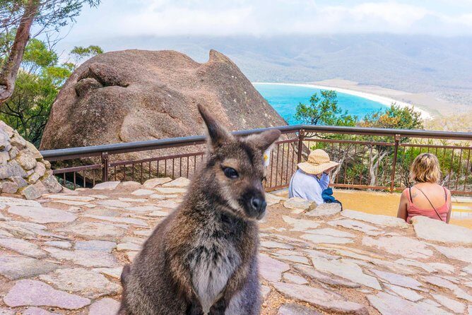 Cradle Mountain OMG! Hobart to Cradle Active Day Trip - Cradle Mountain–Lake St Clair National Park: up to five hours where it counts