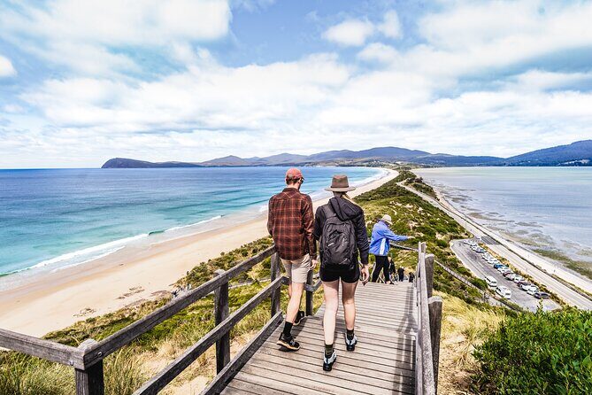 Cradle Mountain OMG! Hobart to Cradle Active Day Trip - Ronny Creek Carpark: the hike finish where wombat sightings are part of the plan