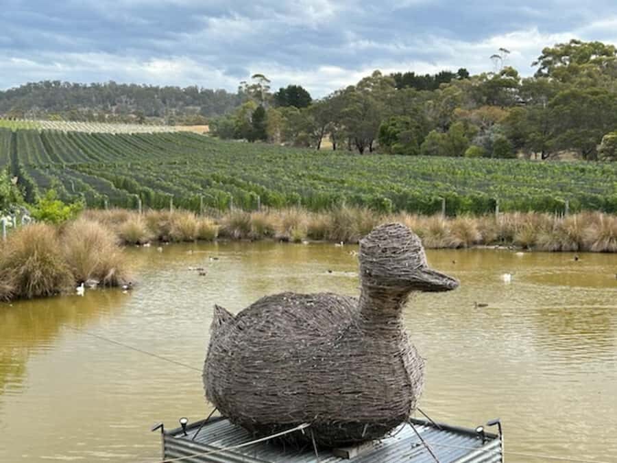 Cruise Ship - Wine Shore Excursion - Hobart - The value of $155: what you get for the money