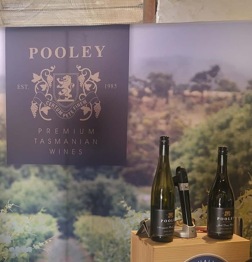 Cruise Ship - Wine Shore Excursion - Hobart - Who should book this Hobart wine shore excursion
