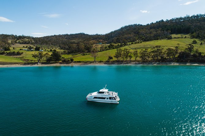 Deep-to-Dish: Tasmanian Seafood Experience - Price and value: is $416 per person worth it?