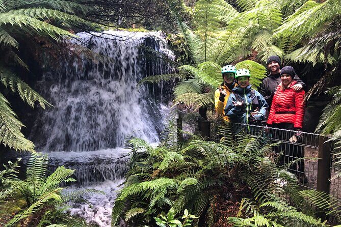 Easy Bike Tour - Mt Wellington Summit Descent & Rainforest Ride - Key things to know before you go