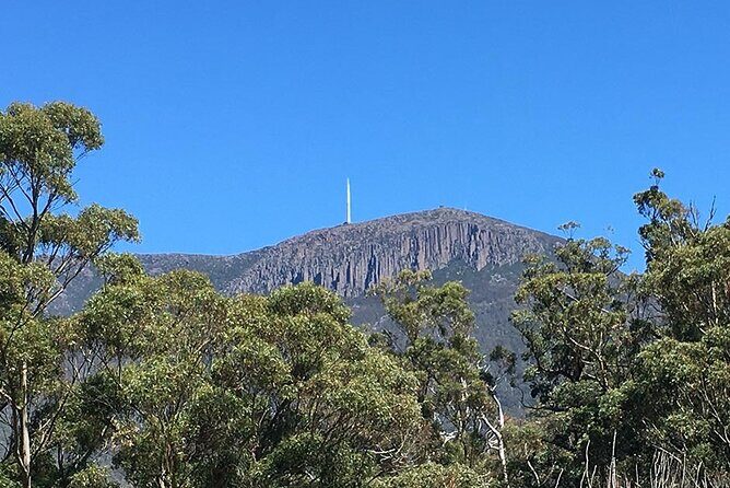 Easy Bike Tour - Mt Wellington Summit Descent & Rainforest Ride - Mt Wellington in one morning: the real appeal