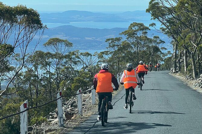 Easy Bike Tour - Mt Wellington Summit Descent & Rainforest Ride - The 6 km summit road descent: thrilling, and optional