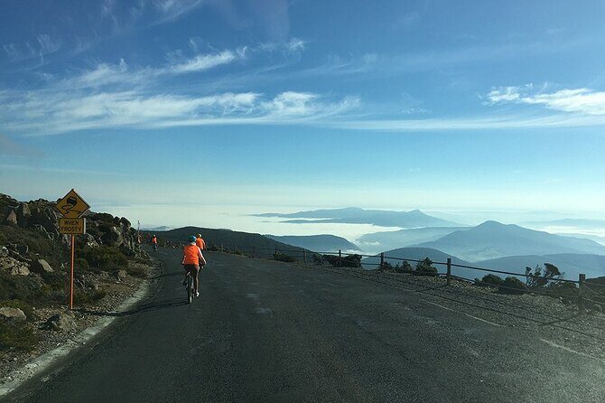 Easy Bike Tour - Mt Wellington Summit Descent & Rainforest Ride - Lost Freight Cafe break: snack, toilet, and a quick regroup