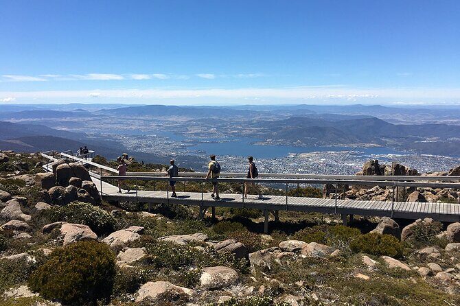Easy Bike Tour - Mt Wellington Summit Descent & Rainforest Ride - Rainforest ride setup: 11 km of guided downhill calm
