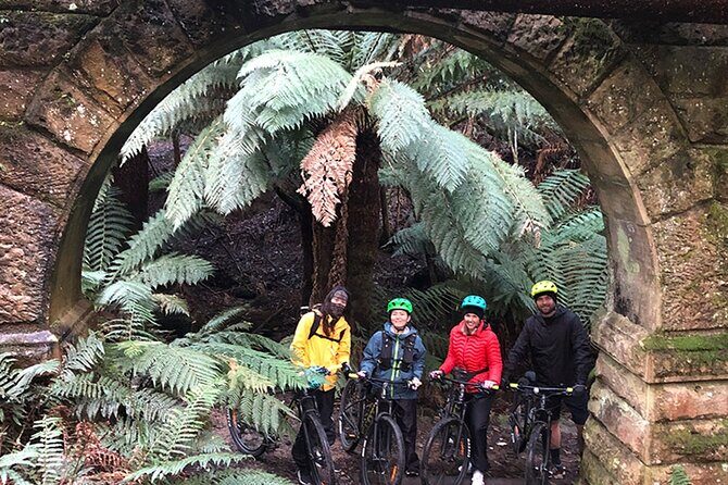 Easy Bike Tour - Mt Wellington Summit Descent & Rainforest Ride - Pacing, safety, and how the vehicle support changes the experience