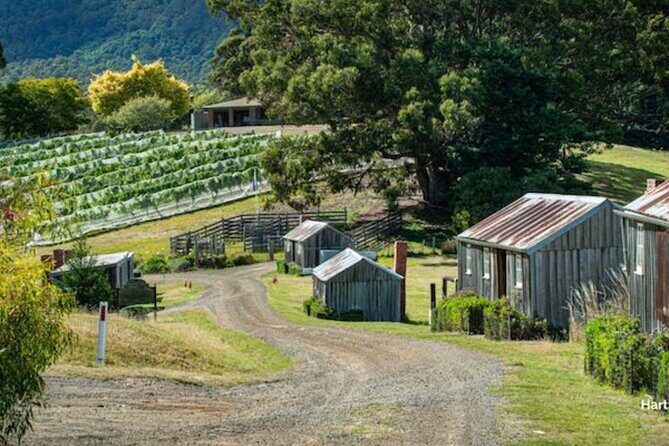 Food & Wine Taste of Southern Tasmania Tour - Summer Kitchen Bakery: Handmade Organic Sourdough, Pies, and Pastries