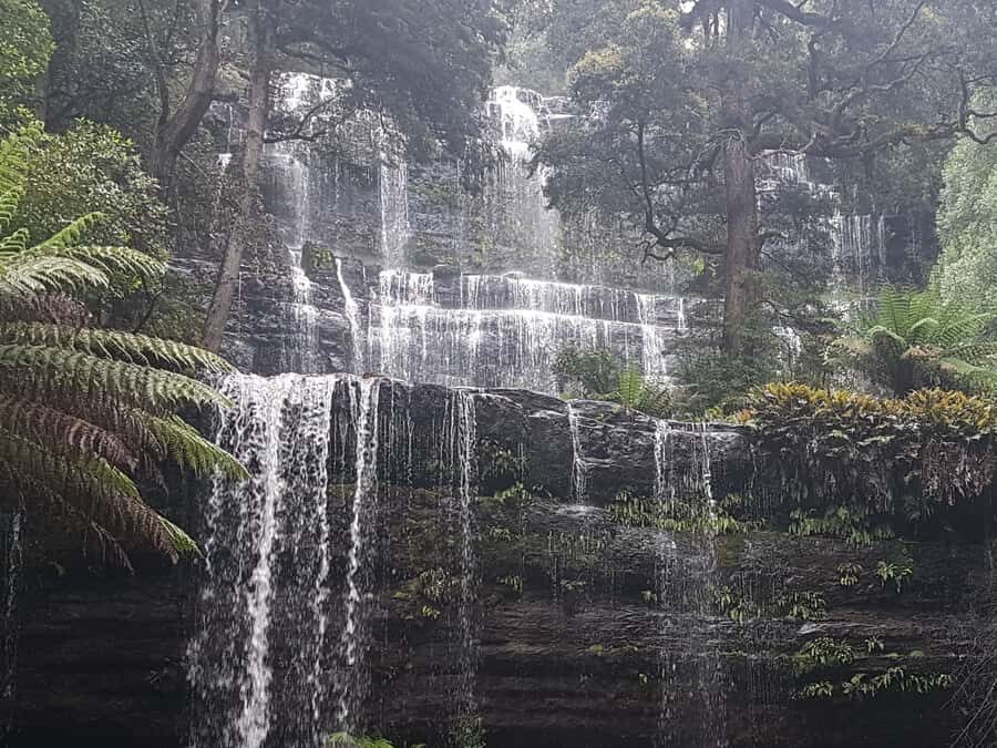 From Hobart: 2 Day Cradle Mountain Tour - Pickup, Group Size, and the Pace You’ll Feel