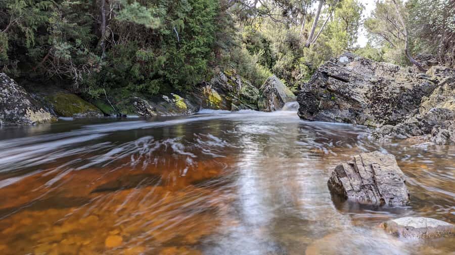 From Hobart: 5-Day Tasmania West & East Coast Tour - Key takeaways before you go