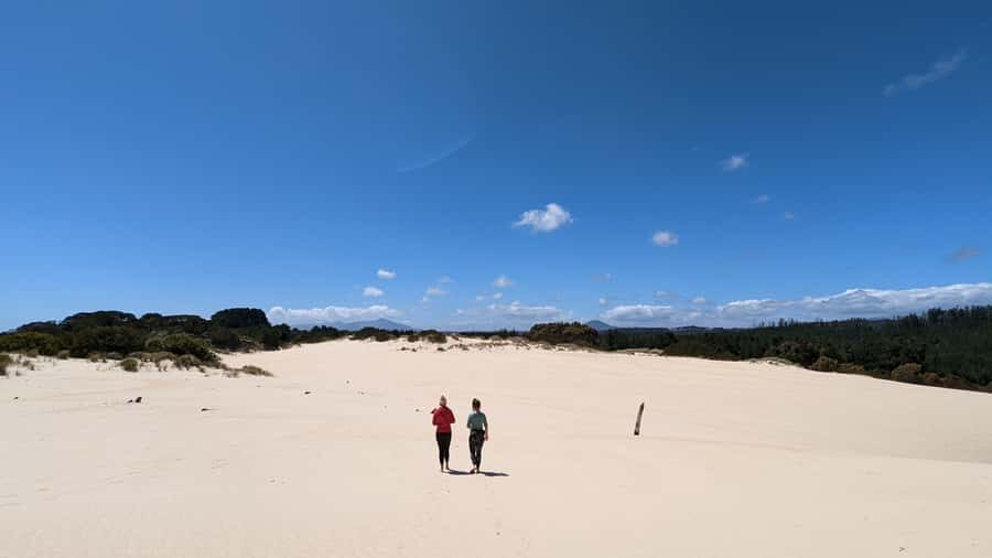 From Hobart: 5-Day Tasmania West & East Coast Tour - Day 4: Bay of Fires white sand and orange-lichen boulders, with Palawa culture