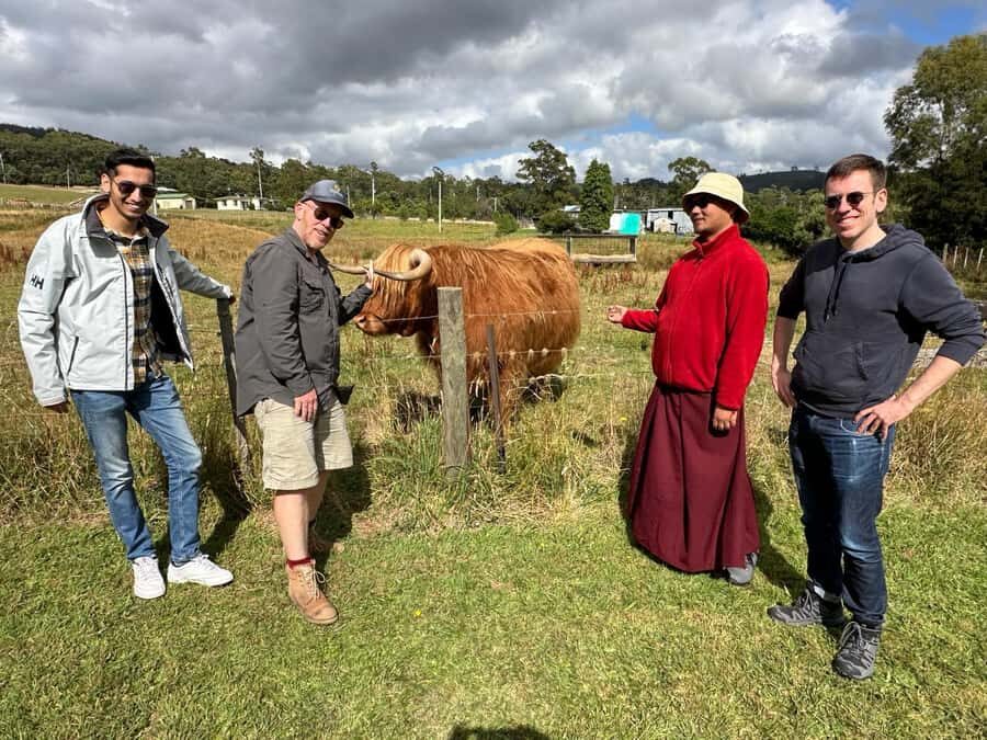 From Hobart: Active Day Trip to Cradle Mountain - The wilderness part: weather, wildlife, and what to do when things change