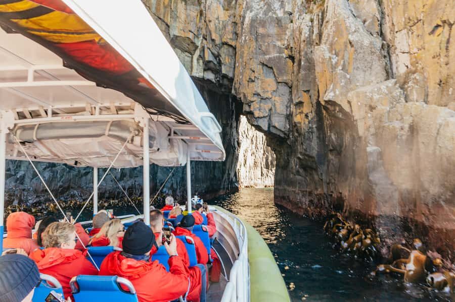 From Hobart/Adventure Bay: Bruny Island Wilderness Cruise - Key Things I’d Plan Around