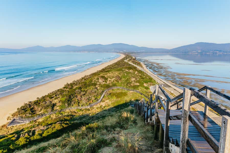 From Hobart/Adventure Bay: Bruny Island Wilderness Cruise - Friars: The Seal Haul-Out and the Quietest Wildlife Drift