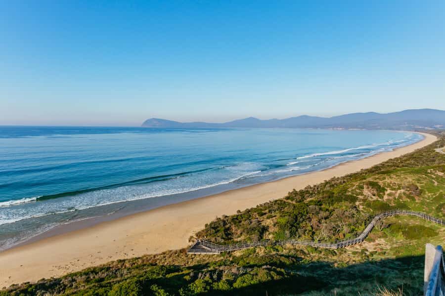 From Hobart/Adventure Bay: Bruny Island Wilderness Cruise - Wildlife You Can Look For (And What Makes It Feel Real)